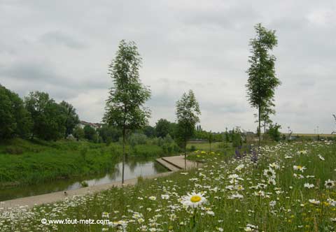 Parc de la Seille à Metz cote riviere 11