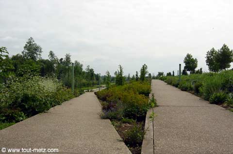 Parc de la Seille à Metz cote riviere 4