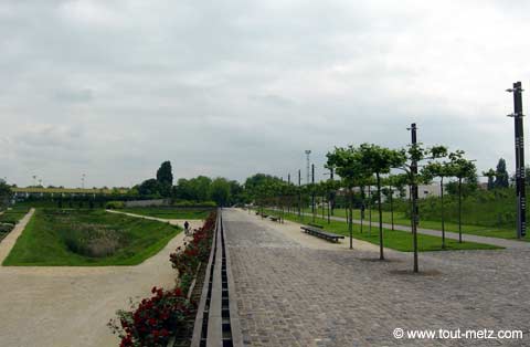 Parc de la Seille à Metz avenue centrale 2