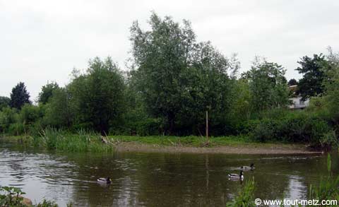 Parc de la Seille à Metz cote riviere 9