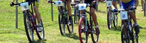 course vtt crapauds