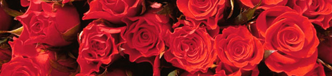 bouquet de fleurs fte des meres